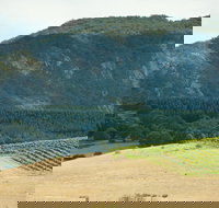 Langi Ghiran State Park - Accommodation Sydney