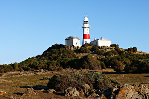 Low Head Foghorn - Sydney Resort 1