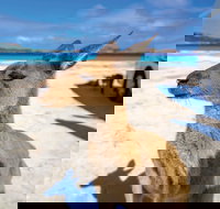 Lucky Bay - Sydney Resort