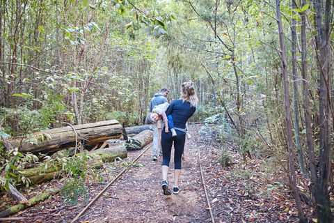Lyrebird Circuit Walk - Sydney 4u 1