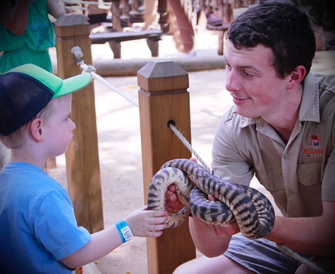 Macadamia Castle - Accommodation Sydney 1