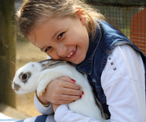 Macadamia Castle - Accommodation Sydney 2