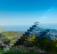 Mount Fox - Sydney Resort