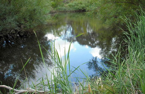 Mullion Range State Conservation Area - Sydney 4u 0
