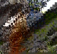 Mystery Face Walking Track - Accommodation Sydney