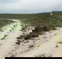 Ngarkat Conservation Park - Accommodation Sydney