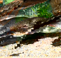 Platypus House - Sydney 4u