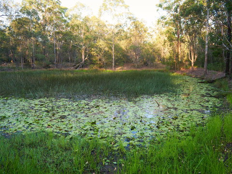 Raysource Road - Sydney Resort 2
