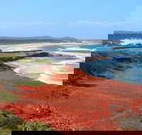 Red Cliff - Accommodation Sydney