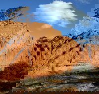 Red Banks Conservation Park - Accommodation Sydney