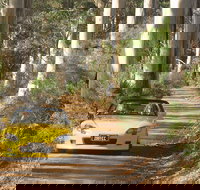 Scotsdale Tourist Drive - Accommodation Sydney