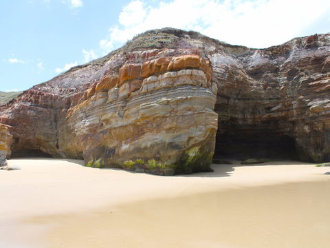 Shelley Caves - Accommodation Sydney 0