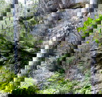 She-Oak Crossing Walk - Sydney Resort