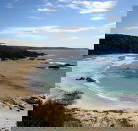 Snorkelling Mystery Bay - Accommodation Sydney