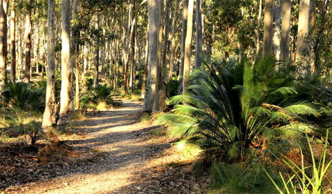 Square Head Track 2 - Sydney 4u 0