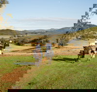 Tamworth and Kootingal Horse Riding Adventures - Accommodation Sydney