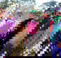 The Saddle Camp - Accommodation Sydney