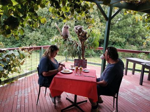 The Aussie Stop Offering Breakfast With Koalas - Accommodation Sydney 0