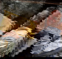 The House of Honey - Accommodation Sydney