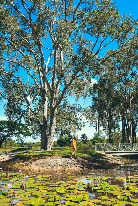 TYTO Wetlands - Accommodation Sydney 1