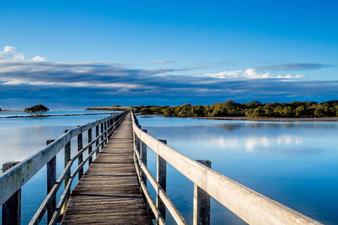 Urunga Boardwalk - Sydney 4u 1