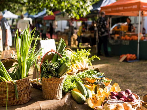 Warragul Farmers Market - Accommodation Sydney 1