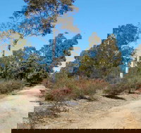 Werakata National Park - Accommodation Sydney