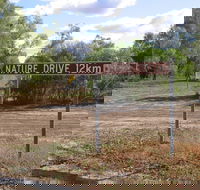 Windorah Nature Drive - Accommodation Sydney