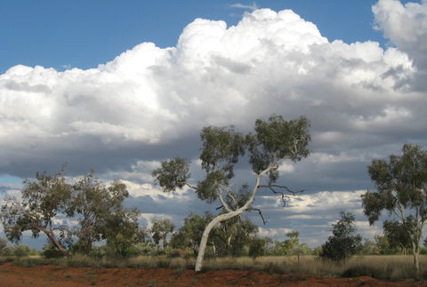 Windorah Nature Drive - Accommodation Sydney 1