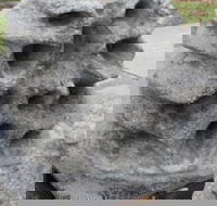 Windara Reef - Accommodation Sydney