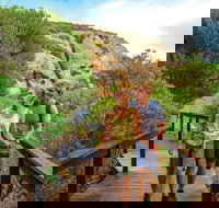 Woody Island Nature Reserve - Sydney Resort