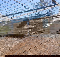 Aboriginal Carvings - Accommodation Sydney