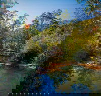 Bargo State Conservation Area - Sydney 4u