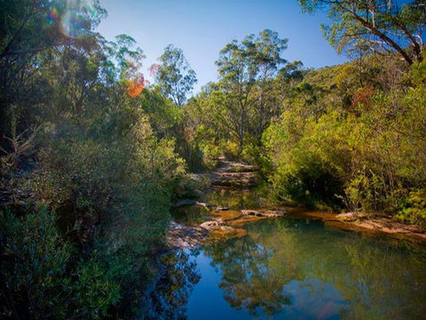 Bargo State Conservation Area - Sydney 4u 0