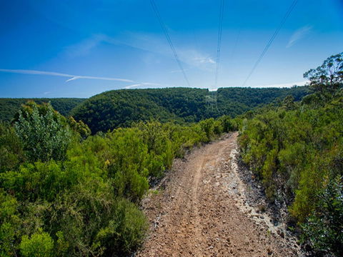 Bargo State Conservation Area - Sydney 4u 1