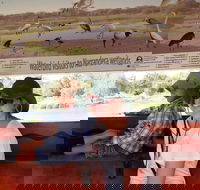 Bird Watching in Narrandera - Sydney 4u