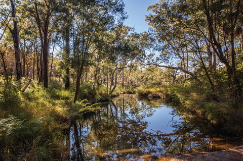 Blackdown Tableland National Park - Accommodation Sydney 2