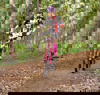 Bom Bom State Forest Mountain Bike Trails - Accommodation Sydney