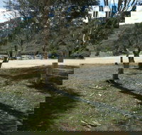 Bombala Platypus Reserve - Accommodation Sydney