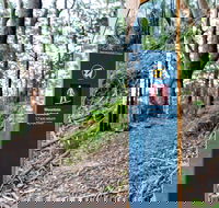 Bulahdelah Mountain Aboriginal Place - Accommodation Sydney