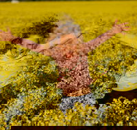 Canola Trail - Accommodation Sydney