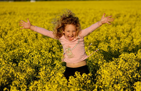 Canola Trail - Sydney 4u 0