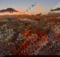 Cape Willoughby Heritage Trail - Sydney Resort