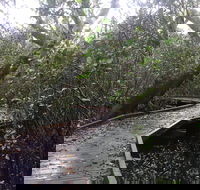 Carole Green Walkway - John Oxley Reserve - Accommodation Sydney