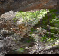 Cave Creek Walking Track - Sydney 4u