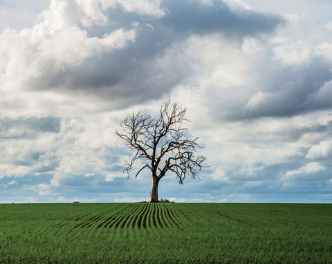 Clare Valley - Accommodation Sydney 0