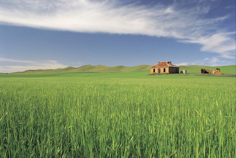 Clare Valley - Accommodation Sydney 1