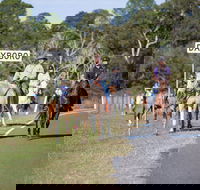 Dayboro - Accommodation Sydney