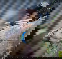 Delta Force Paintball - Sydney Resort