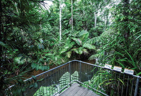 Djiru National Park - Sydney 4u 1